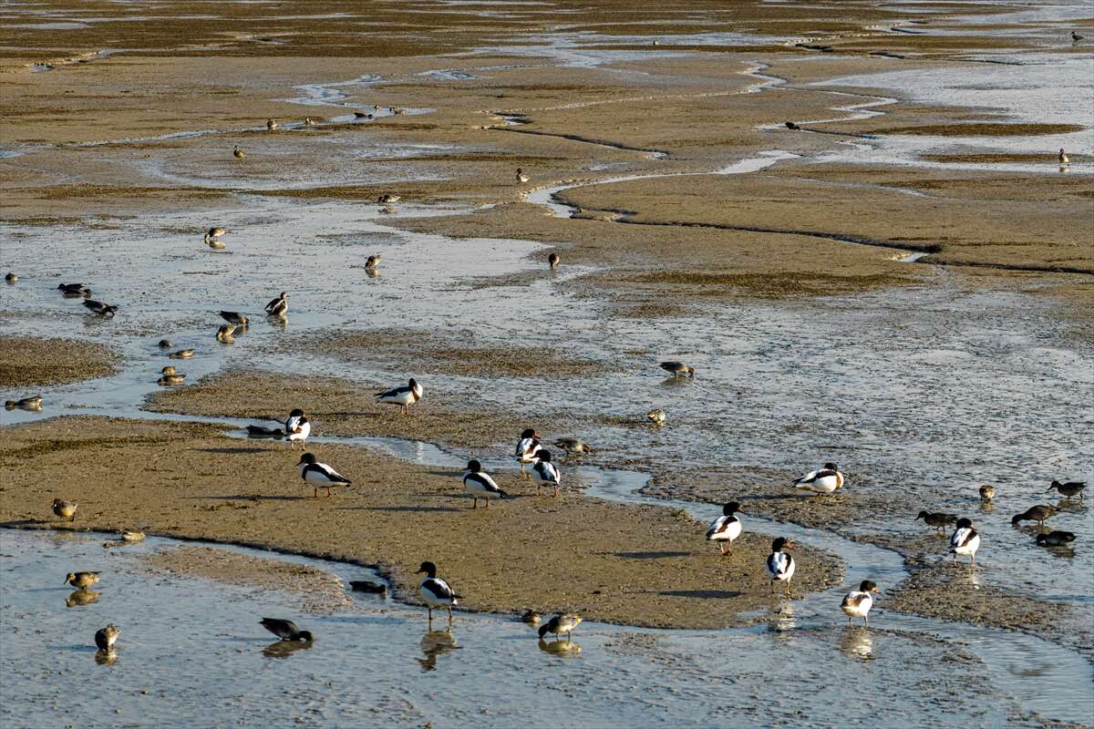 Konya merkezi sulayan kaynakta hareketlilik başladı 4
